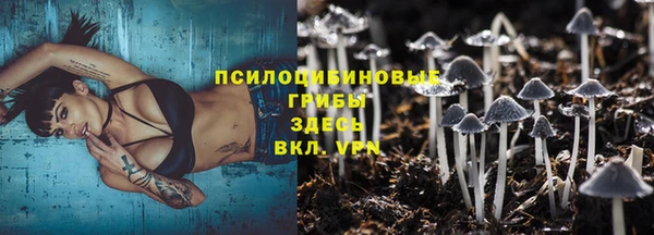 гидра Алексин